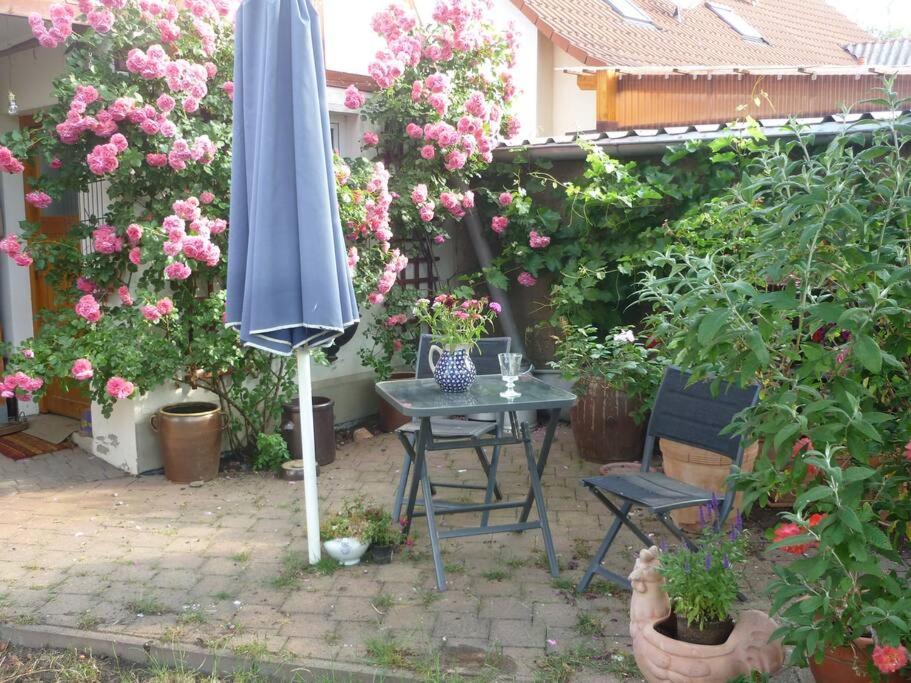 Apartament Erpelhaus Utzberg Zewnętrze zdjęcie